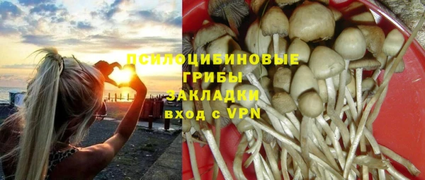 спайс Зерноград