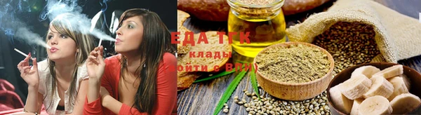 индика Зеленодольск