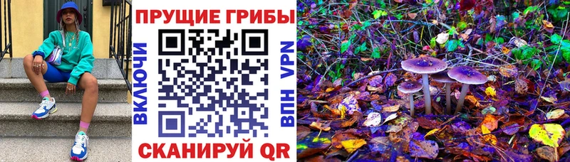 Псилоцибиновые грибы Psilocybine cubensis  купить наркоту  Ханты-Мансийск 